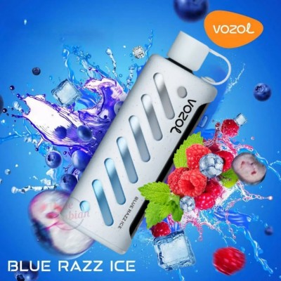 Vozol Gear 25000 Blue Razz Ice